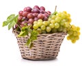 Bunches of white and pink grapes Royalty Free Stock Photo